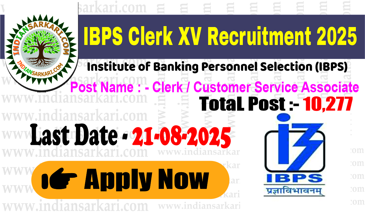 CRP Notification for IBPS Clerk XV 2025 ApplyNow