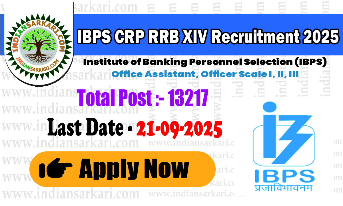 IBPS CRP RRB XIV Recruitment 2025